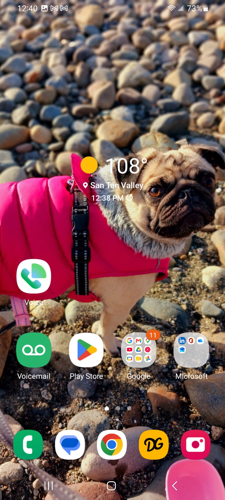 Google Voice Icon on Mobile